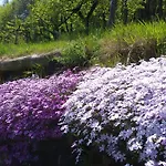 Il Sogno Della Agriresort - Country & Çiftlik konaklama