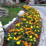 Il Sogno Della Agriresort - Country & *