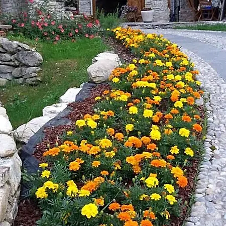 Il Sogno Della Agriresort - Country & * Peveragno