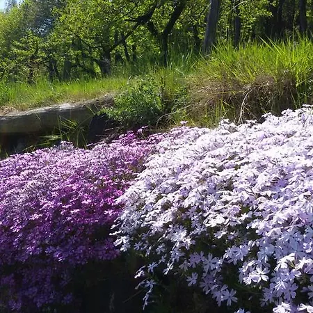 Il Sogno Della Agriresort - Country & Çiftlik konaklama