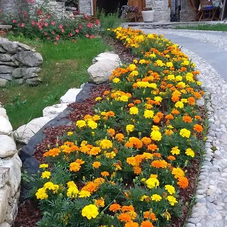 Il Sogno Della Agriresort - Country & *