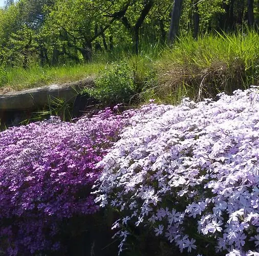 Il Sogno Della Agriresort - Country & Feriegård