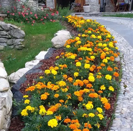 Il Sogno Della Agriresort - Country & *